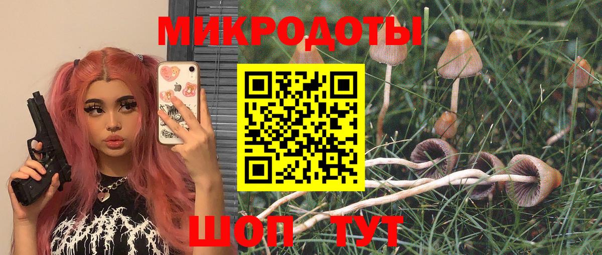 Галлюциногенные грибы MAGIC MUSHROOMS  Вход с VPN  Прохладный 