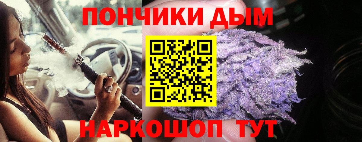 Марихуана сатива Прохладный